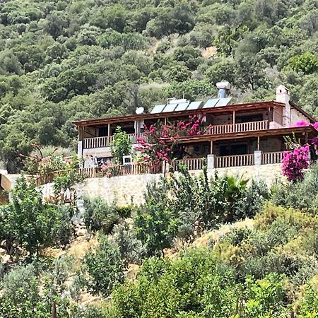 Istlada Tas Ev Apart - Kekova View Kapakli Ngoại thất bức ảnh
