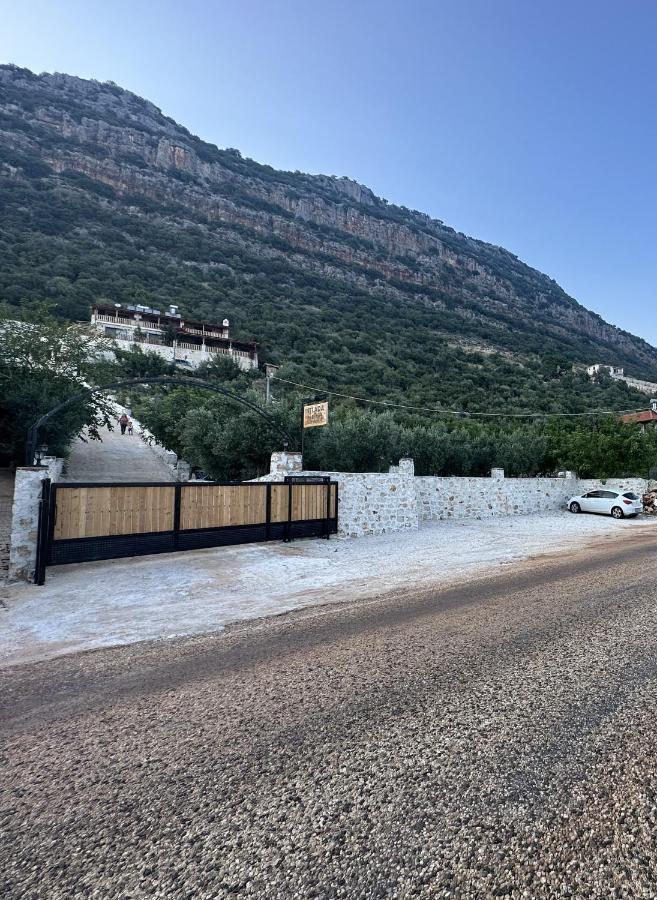 Istlada Tas Ev Apart - Kekova View Kapakli Ngoại thất bức ảnh