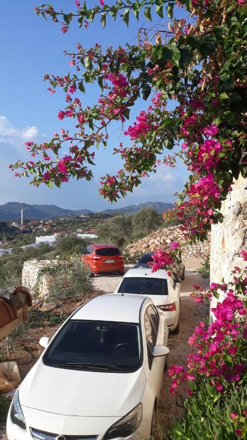 Istlada Tas Ev Apart - Kekova View Kapakli Ngoại thất bức ảnh